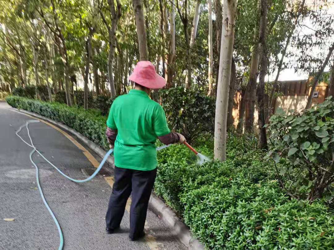 綠化養護的澆水工作