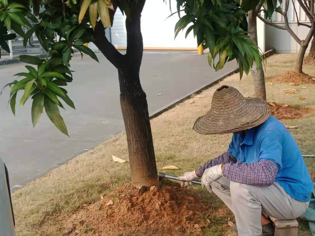 工廠(chǎng)綠化養(yǎng)護(hù)