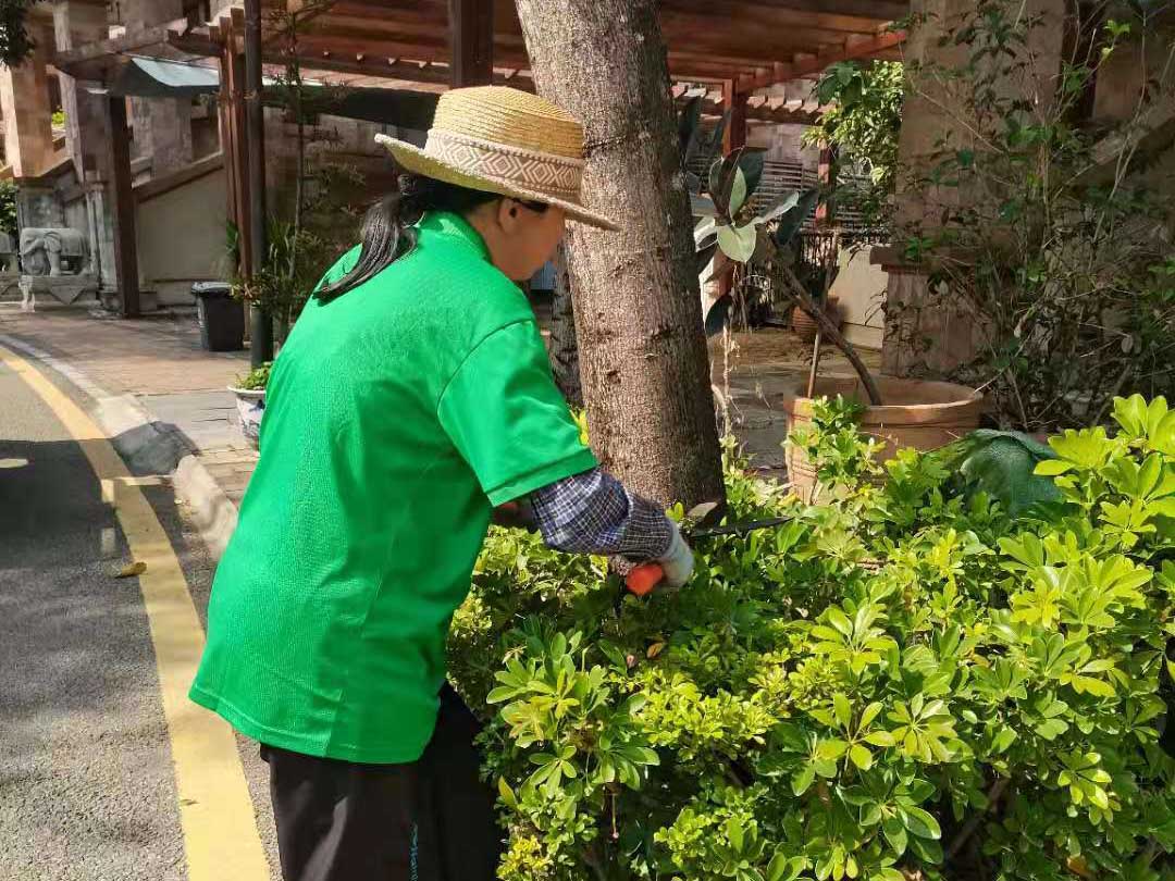 綠化養護修剪