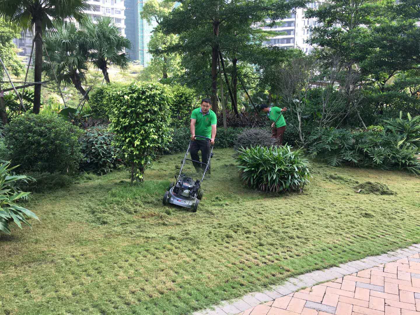 小區綠化養護修剪