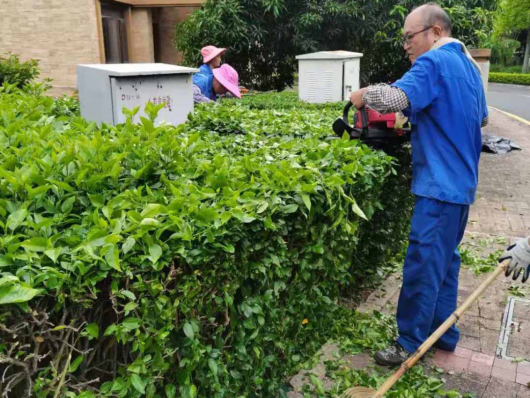 小區綠化養護修剪