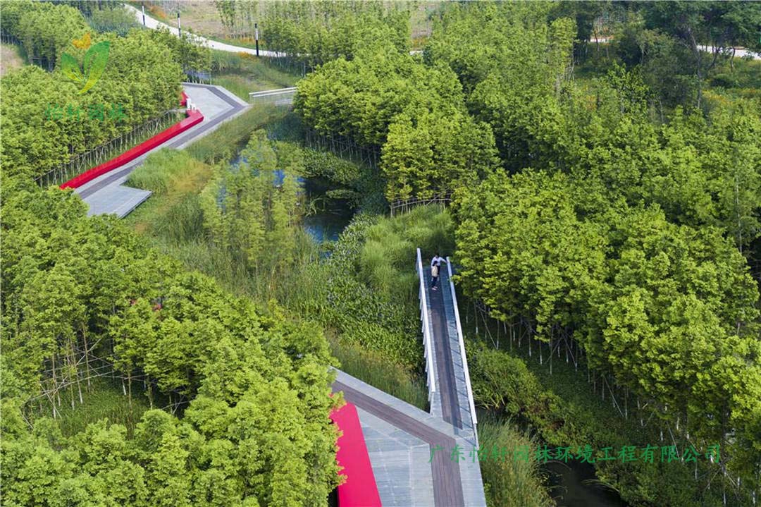 蘇州虎丘地區(qū)蘇州真山公園景觀設(shè)計(jì)工程效果圖