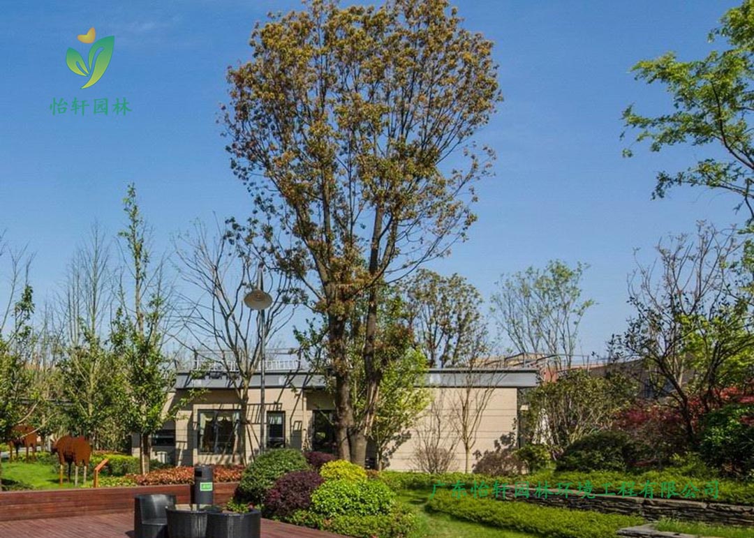 萬科魅力之城小區公園綠化工程實景圖