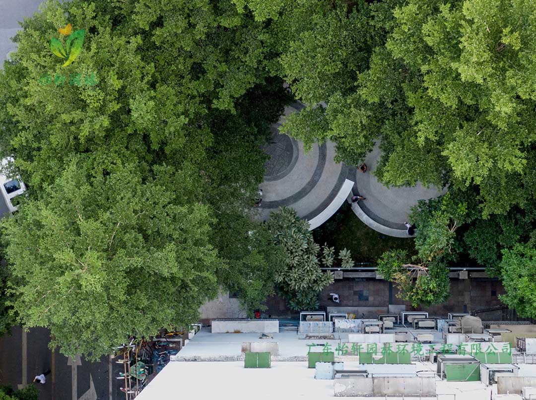 東山少爺南廣場(chǎng)社區(qū)公園綠化工程實(shí)景圖