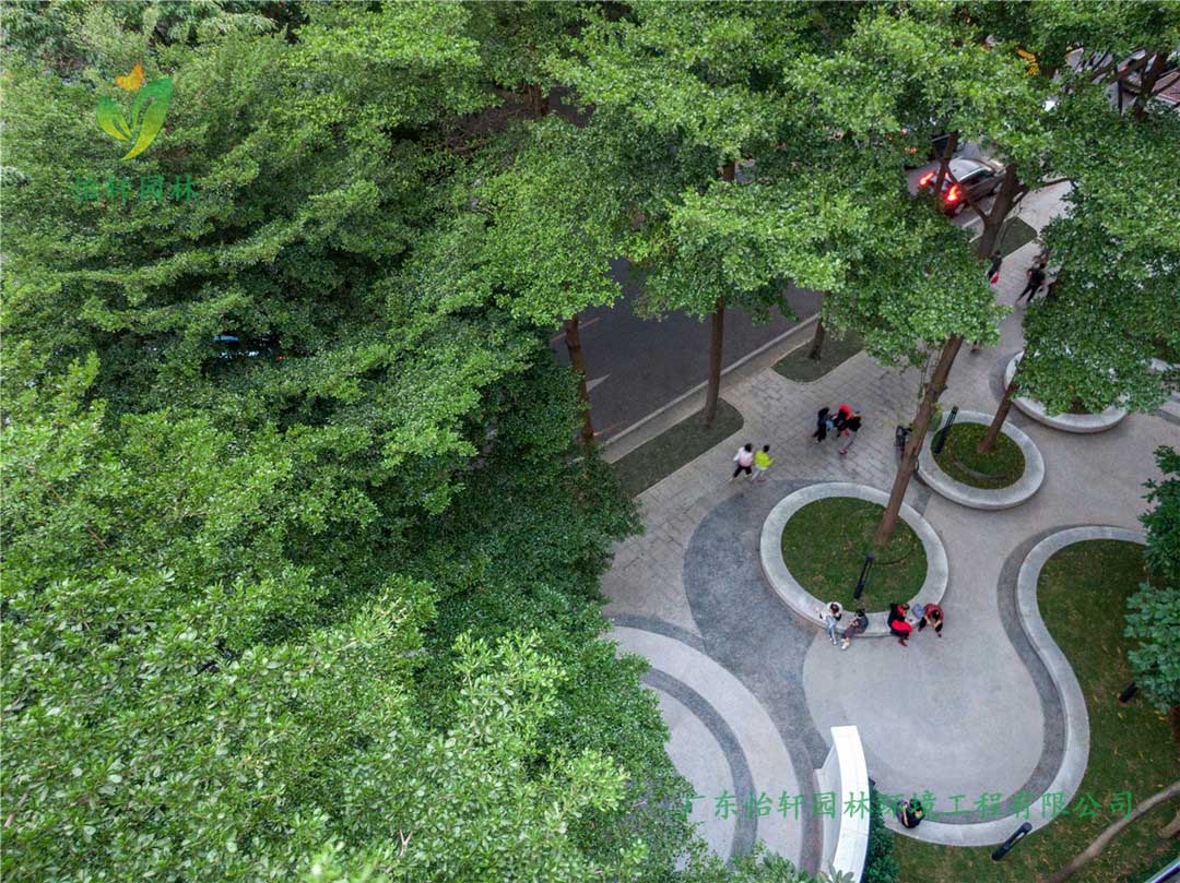 東山少爺南廣場(chǎng)社區(qū)公園綠化工程實(shí)景圖