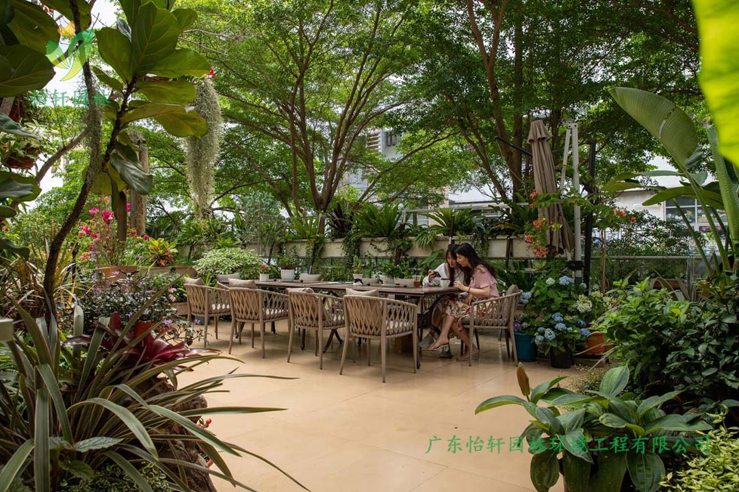 創(chuàng)意園7號樓屋頂花園綠化工程施工改造實(shí)景圖