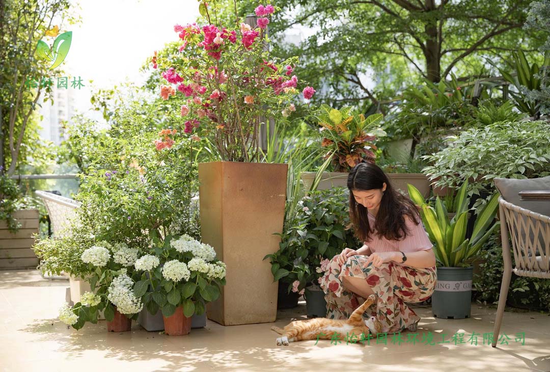 創(chuàng)意園7號樓屋頂花園綠化工程施工改造實(shí)景圖