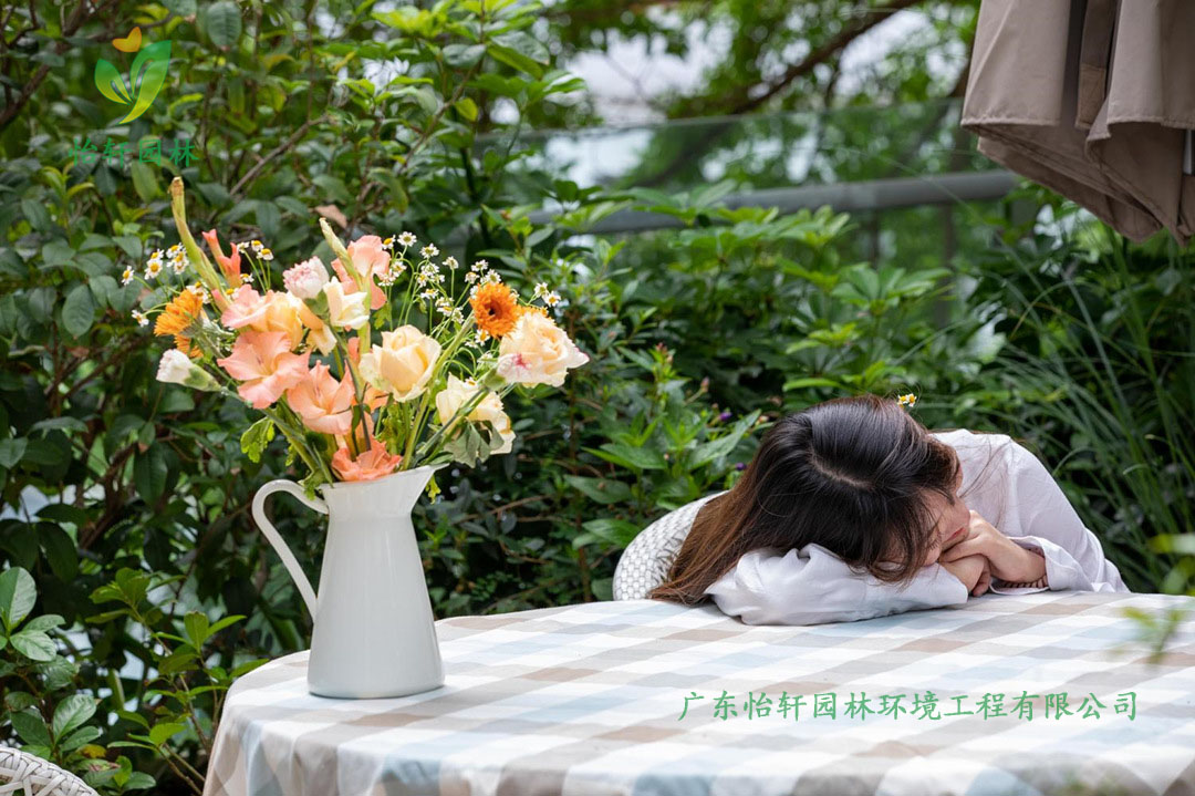 創(chuàng)意園7號樓屋頂花園綠化工程施工改造實(shí)景圖