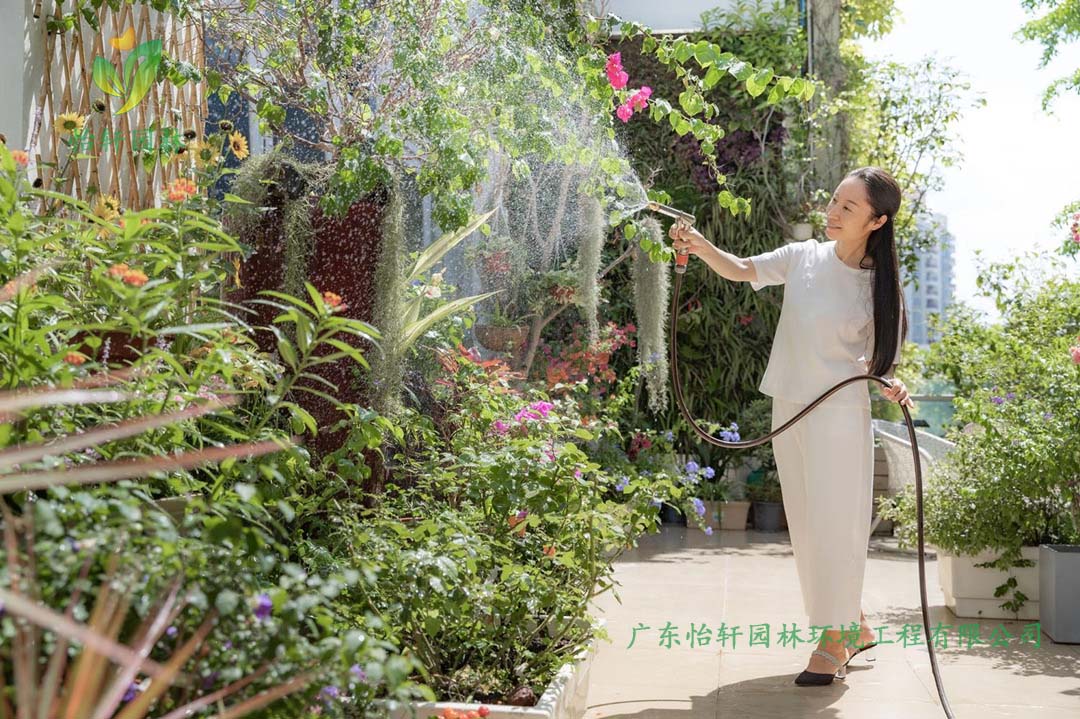 創(chuàng)意園7號樓屋頂花園綠化工程施工改造實(shí)景圖
