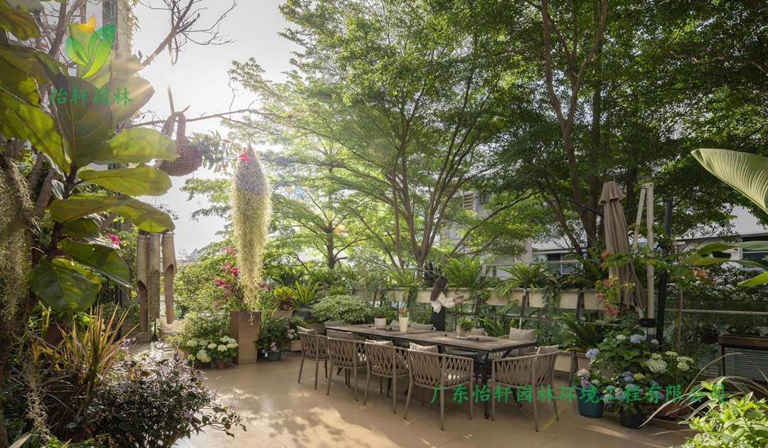 創(chuàng)意園7號樓屋頂花園綠化工程施工改造實(shí)景圖