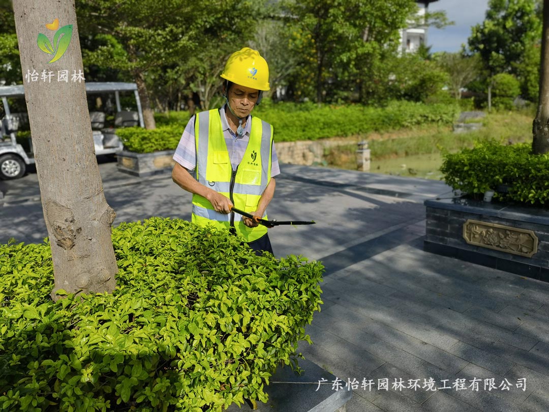 怡軒園林綠化公司養護人員正在修剪
