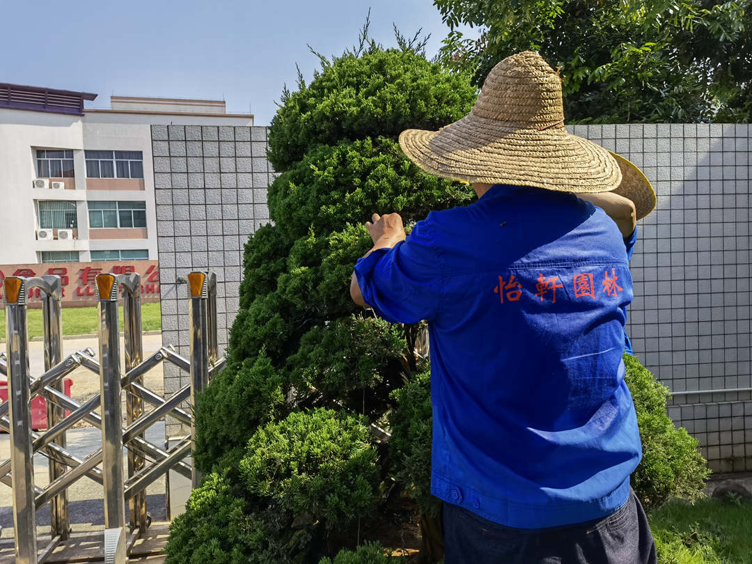 綠化養護修剪