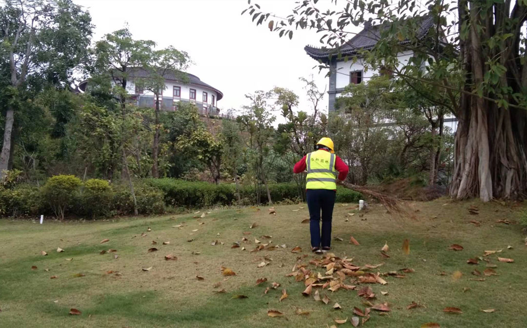 瀚藍綠電廠區(qū)綠化養(yǎng)護落葉清理