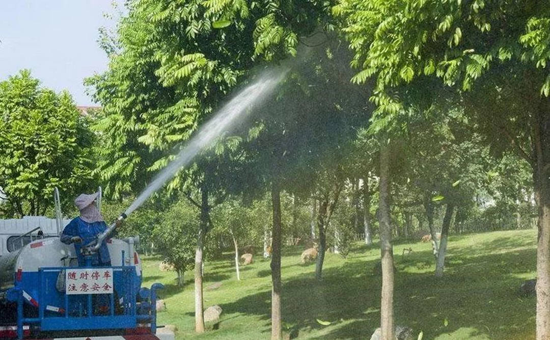 如何科學(xué)地澆水？園林綠化養(yǎng)護(hù)過程中就要注意這些事項(xiàng)！