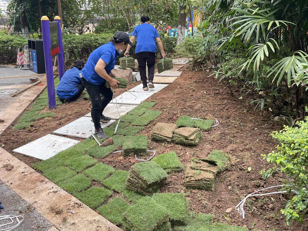 小區綠化養護補植