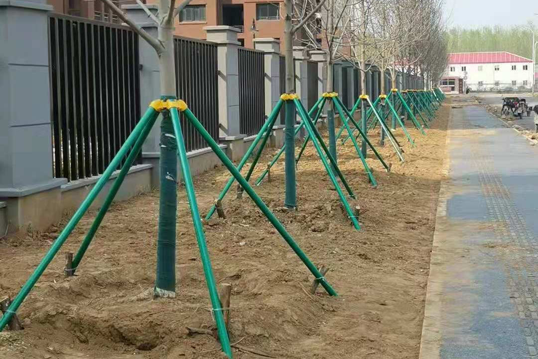 園林綠化工程喬木鐵支撐材質
