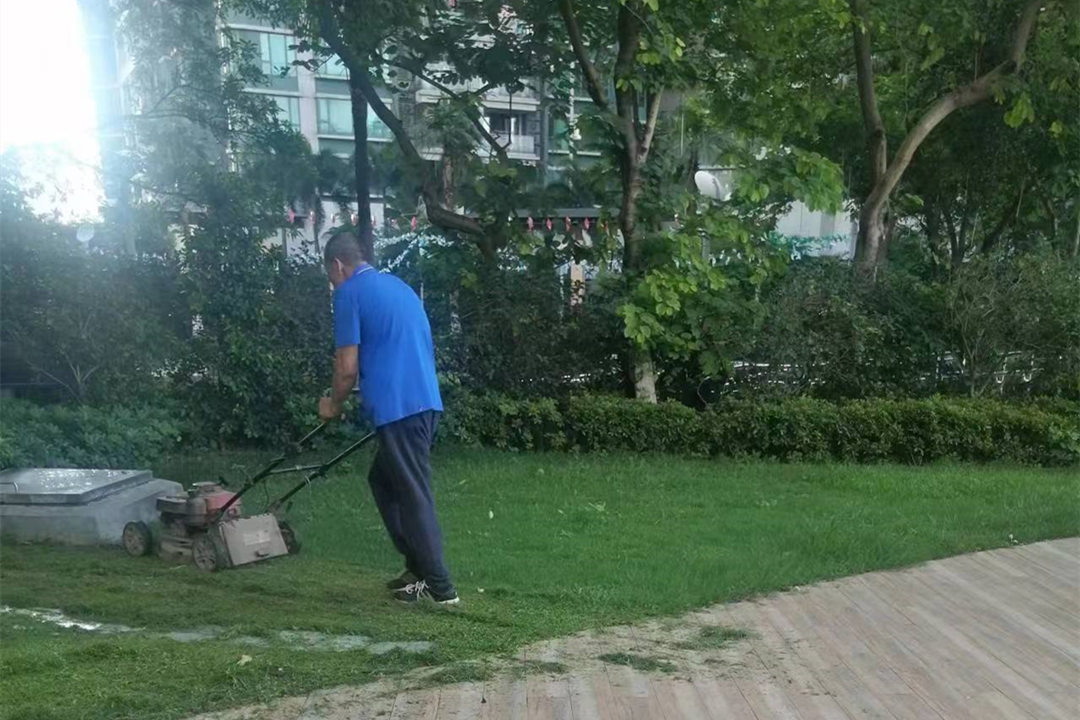 綠化養(yǎng)護(hù)修剪