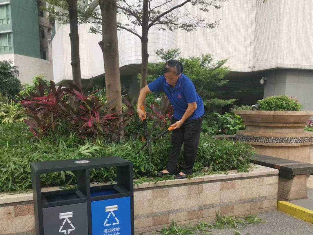 園林綠化養護指南