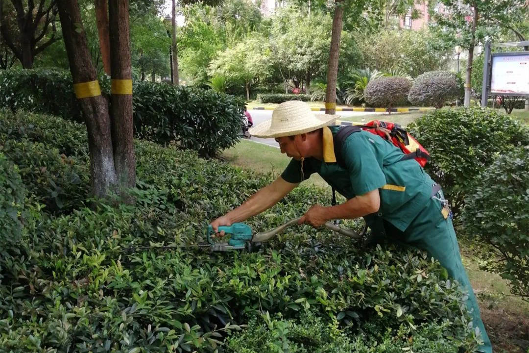 綠化養護修剪