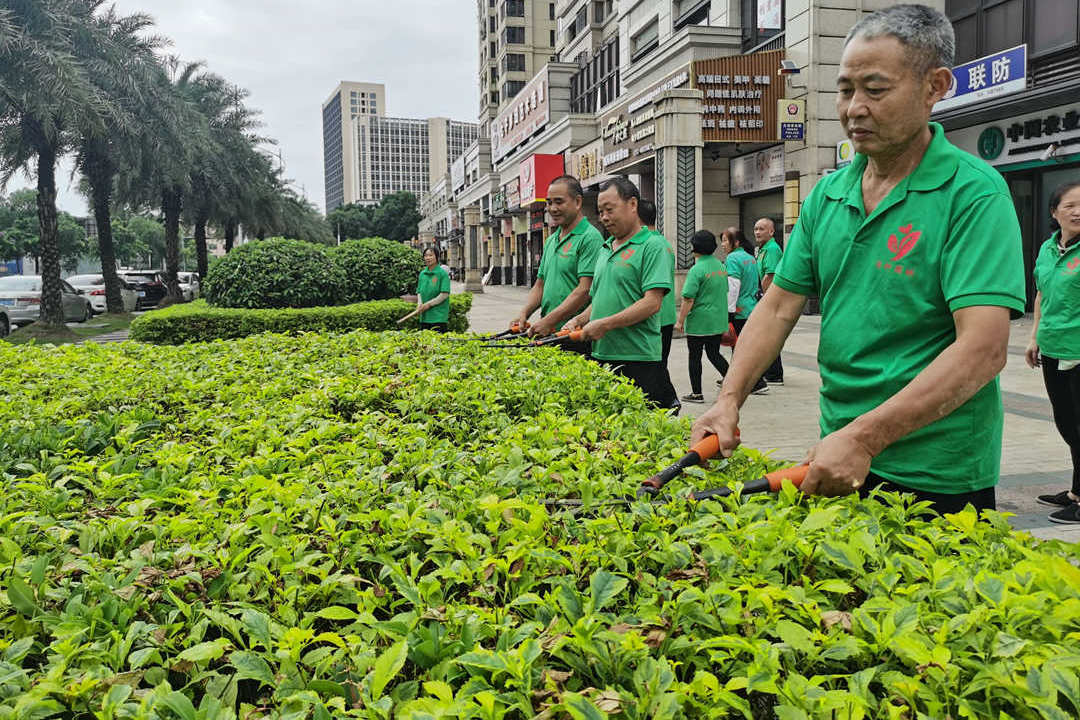 萬達華府小區(qū)綠化養(yǎng)護修剪