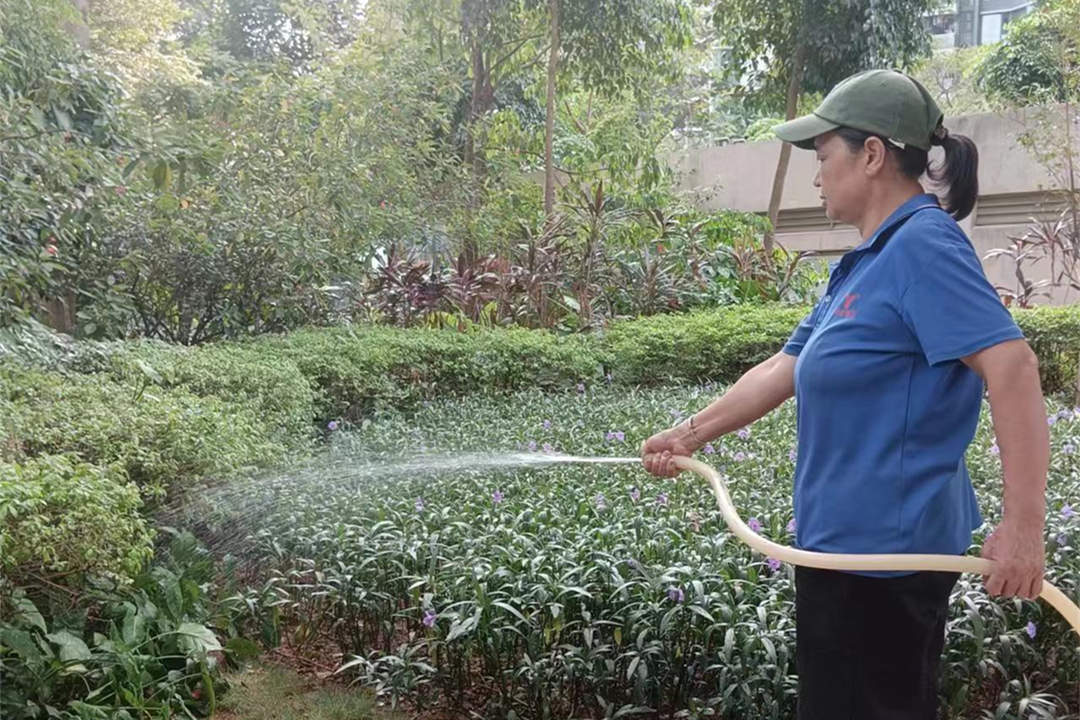 十一月綠化養(yǎng)護澆水