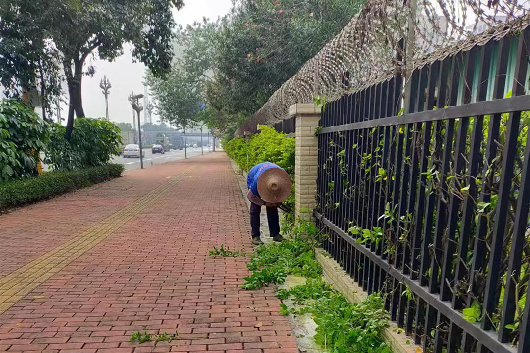園林綠化養護整形修剪