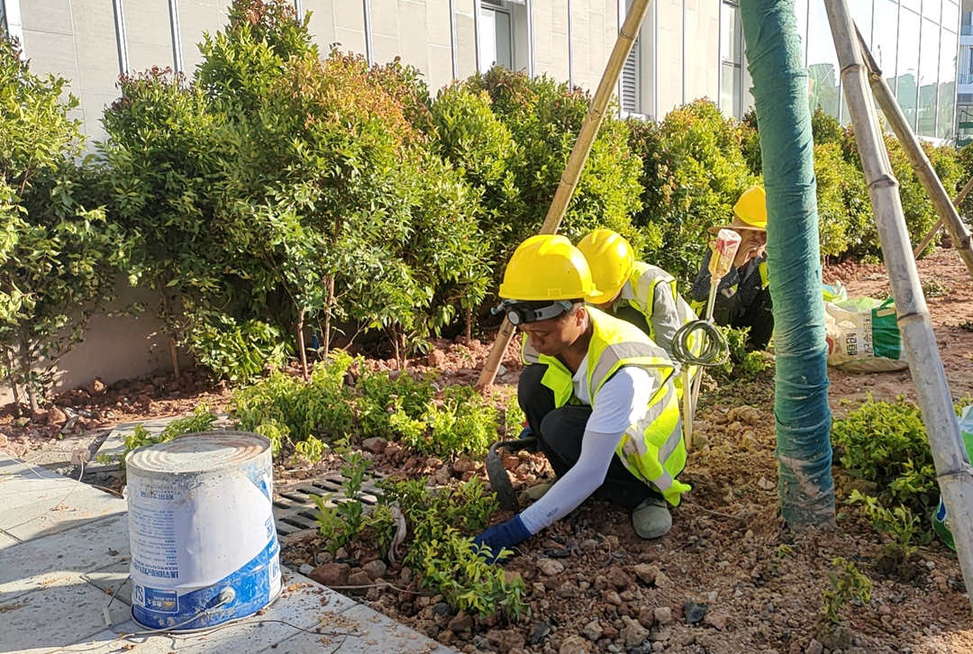 園林綠化工程施工種植現場