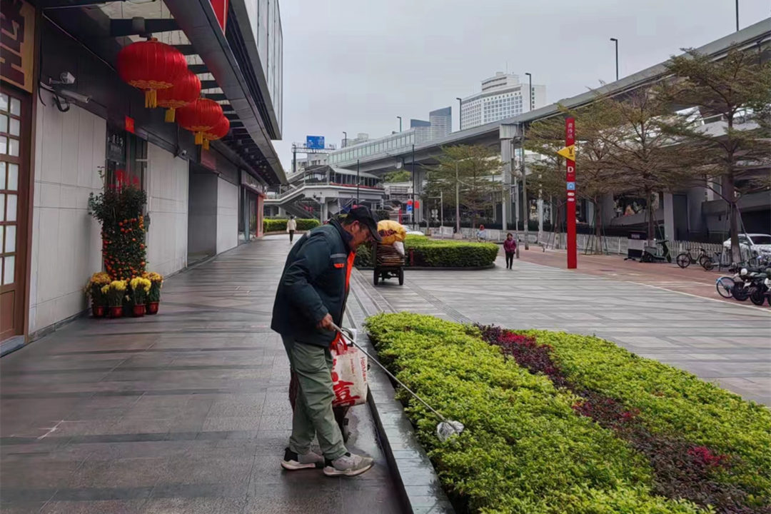 節后園林綠化養護綠化帶清理